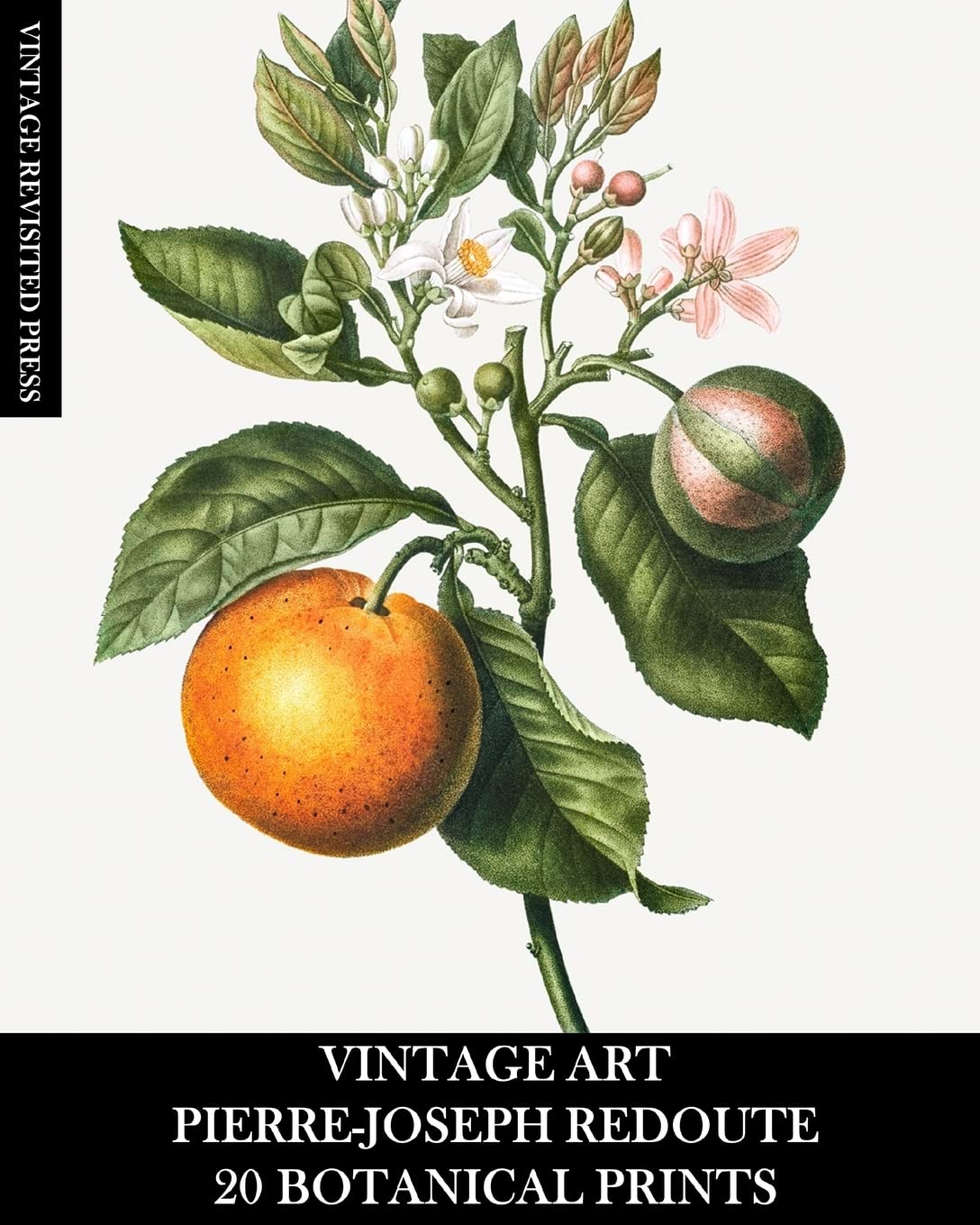 Vintage Art: Pierre-Joseph Redoute: 20 Botanical Prints