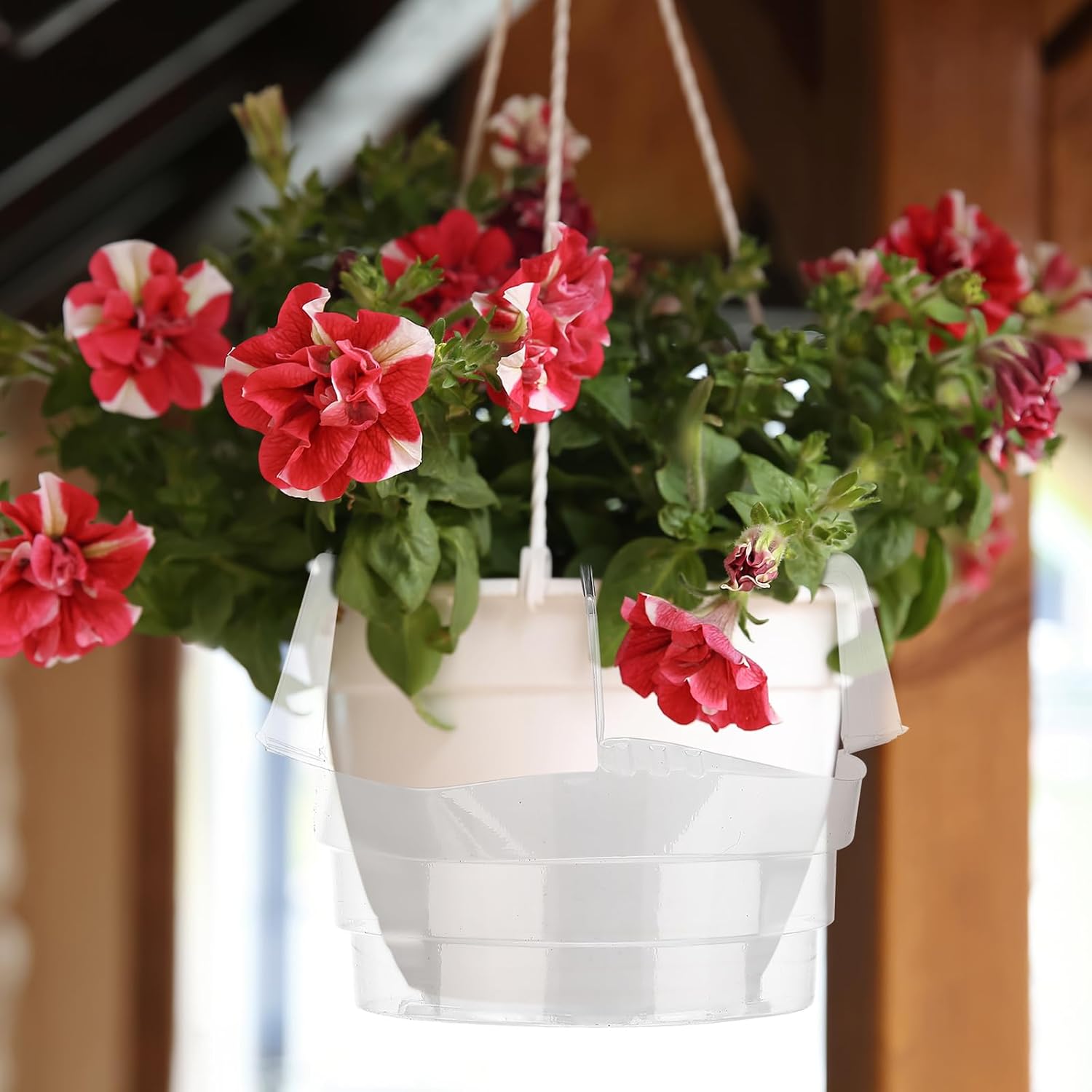 Baderke 12 Pcs Hanging Plant Water Catcher Tray Includes 4 Pcs Clear Plastic Plant Saucer Drip Pans for Indoor Outdoor Hanging Basket Flower Pot(8 10 12 Inch)