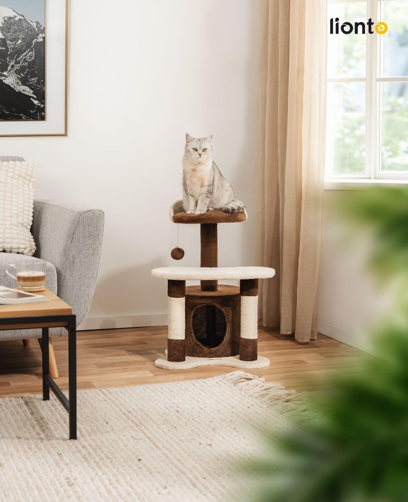 lionto Árbol rascador para Gatos Altura 65 cm, Marrón/Beige