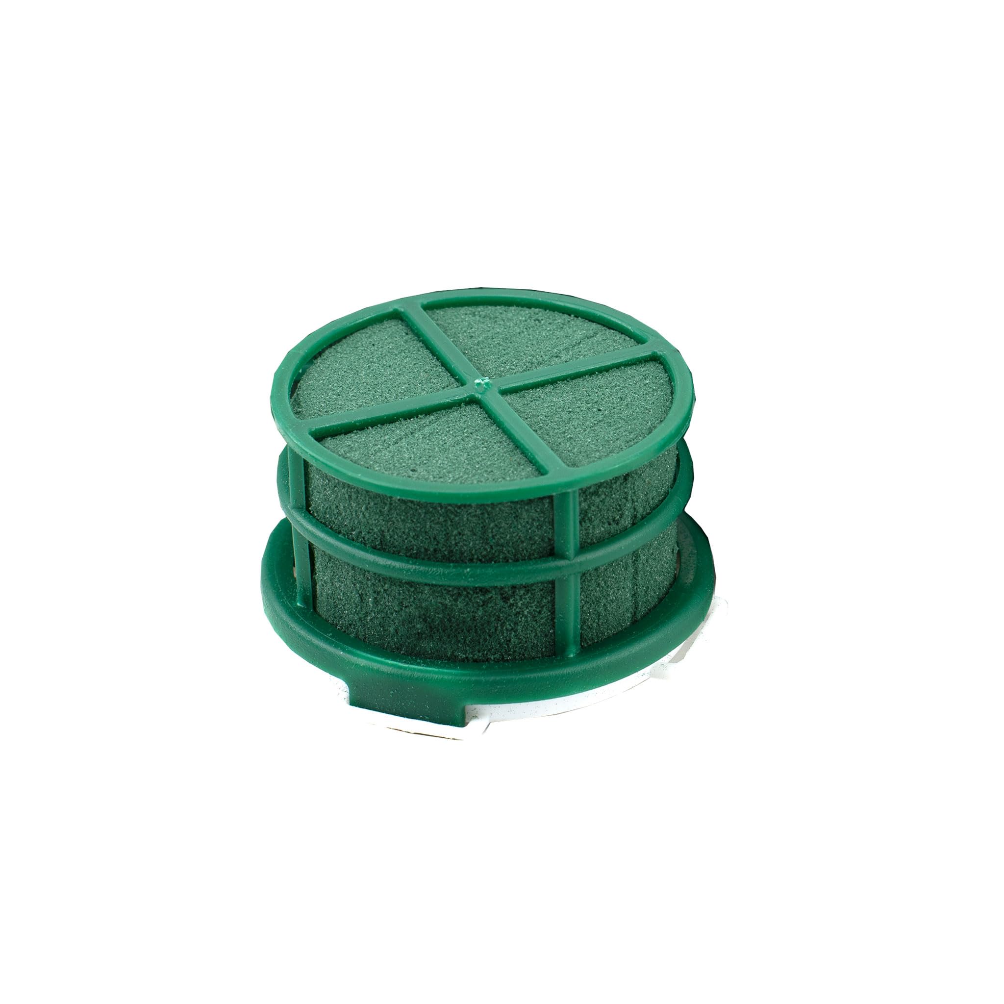 Schiuma bagnata, rotonda, 5 x 4 cm, autoadesiva, con griglia, 12 pezzi – per fioristi e hobbisti – Spugna per fiori freschi – Pasta per fiori – Accessori floreali & forniture floreali verde