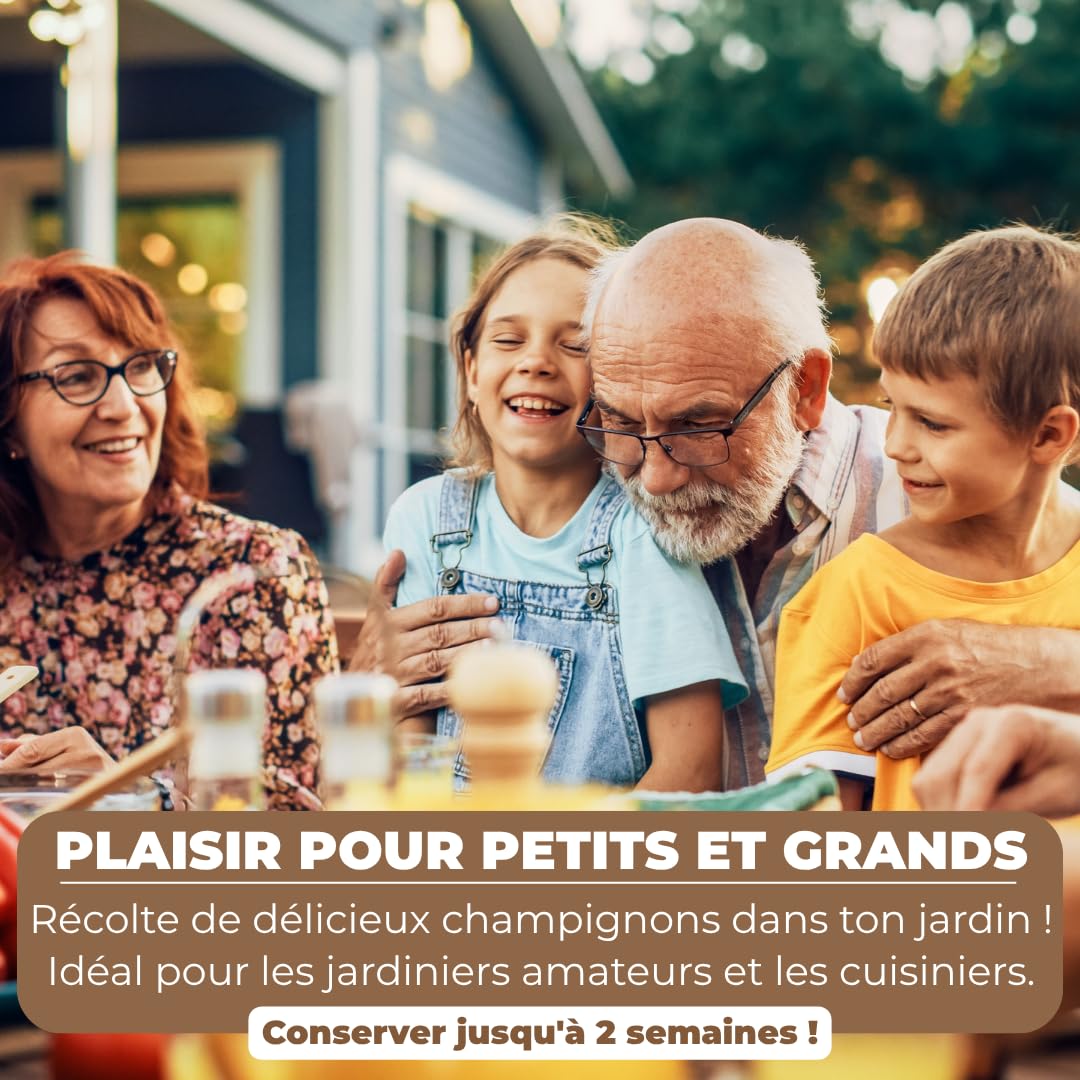 Hawlik Kit Champignons de Paris - Lot de 2 Cultures - Blancs et Bruns