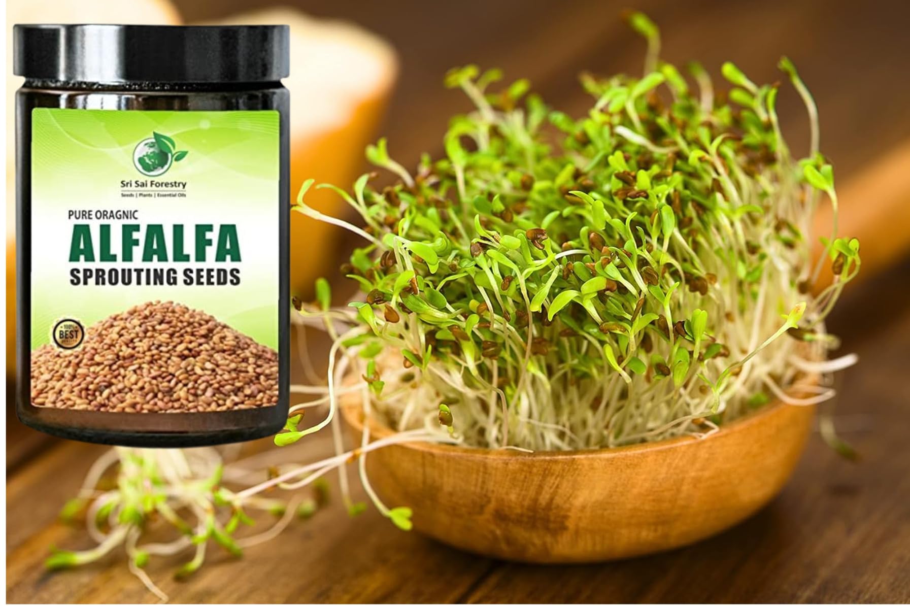 SRI SAI FORESTRY Alfa Alfa Seeds Sprouting 100G | Alfalfa Seeds for Eating (B0BGMDBLJ2) Amazon Price History, Amazon Price Tracker