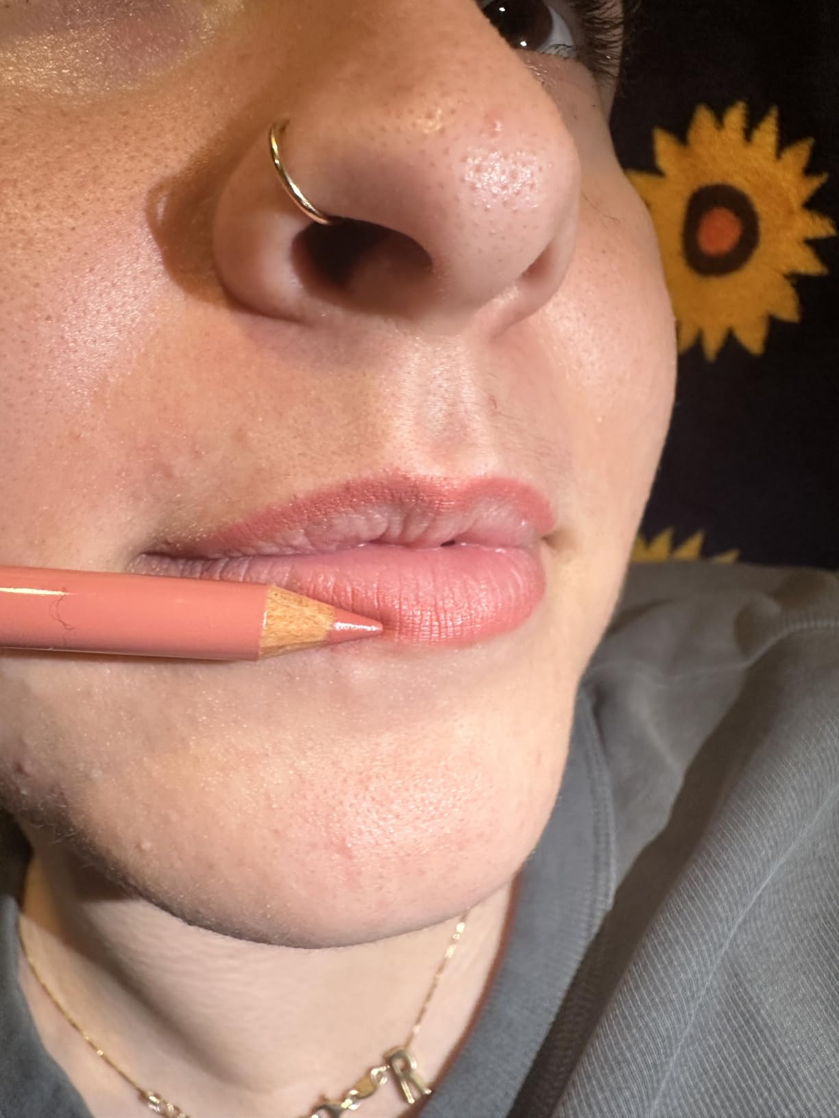 SoftLine Lip Liner Rosé photo review