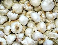 Vista 1 de California Softneck - Bombillas de ajo para plantar, sin OMG, 6 unidades por Greenhouse PCA