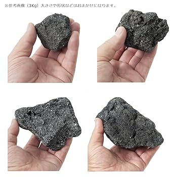 Amazon | 形状お任せ 浅間溶岩石 サイズミックス（約5