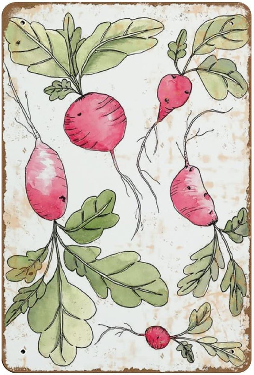 rayprint Vintage Radish Metal Poster Vegetable Art Retro Metal Tin Sign Bathroom Restaurant Farm Bedroom Cafe School Wall Art Decor Plaque 12x16 Inch