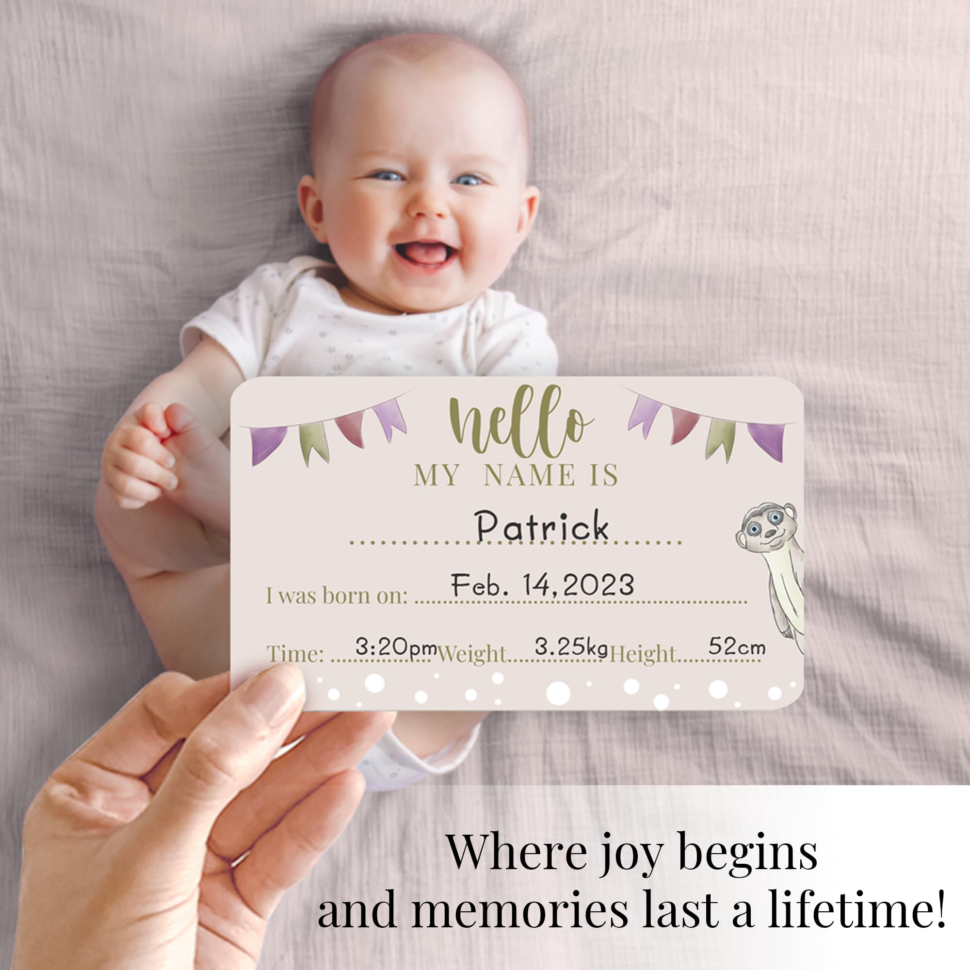 Tiny Trees Baby Milestone Gift Set, Premium Gifts and Keepsake Box, Milestone Cards, Closet Dividers - Image 3