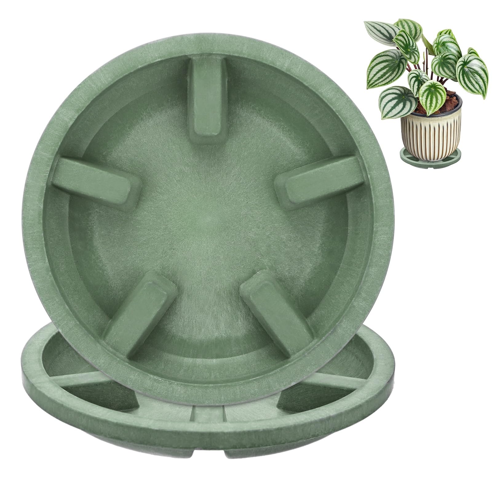 M METERXITY 2-Pack Plant Saucers 5 in Resin Flowerpot Drip Tray, Green
