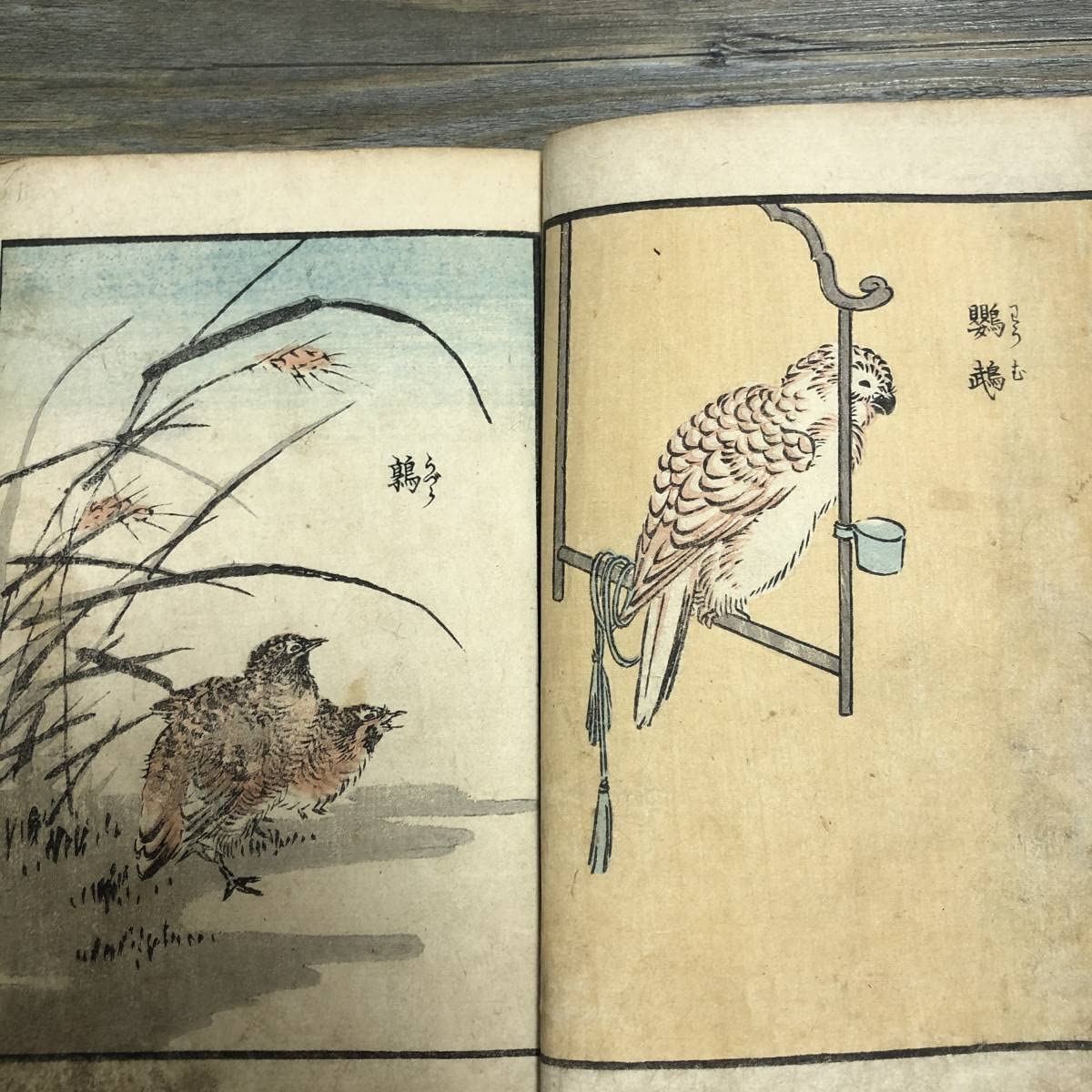 鳥羽絵戯画集『軽筆鳥羽車』日本画 木版画 浮世絵 和本 古文書 軽筆鳥羽車 木版彩色刷 鳥羽絵・鳥羽漫画(鳥羽絵・鳥羽漫画
