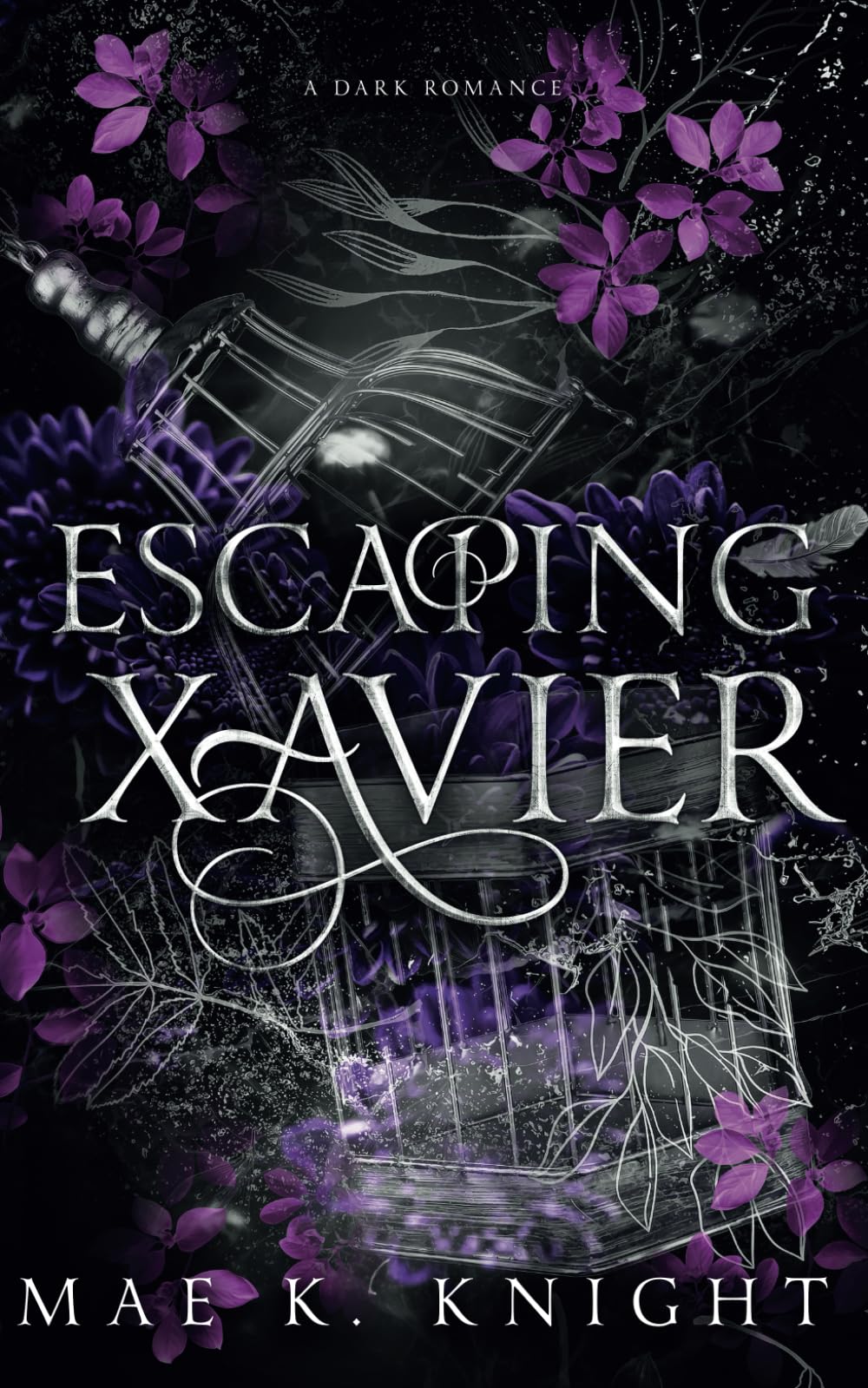 Escaping Xavier: Lasher Brother Duet (Lasher Brothers Duet)