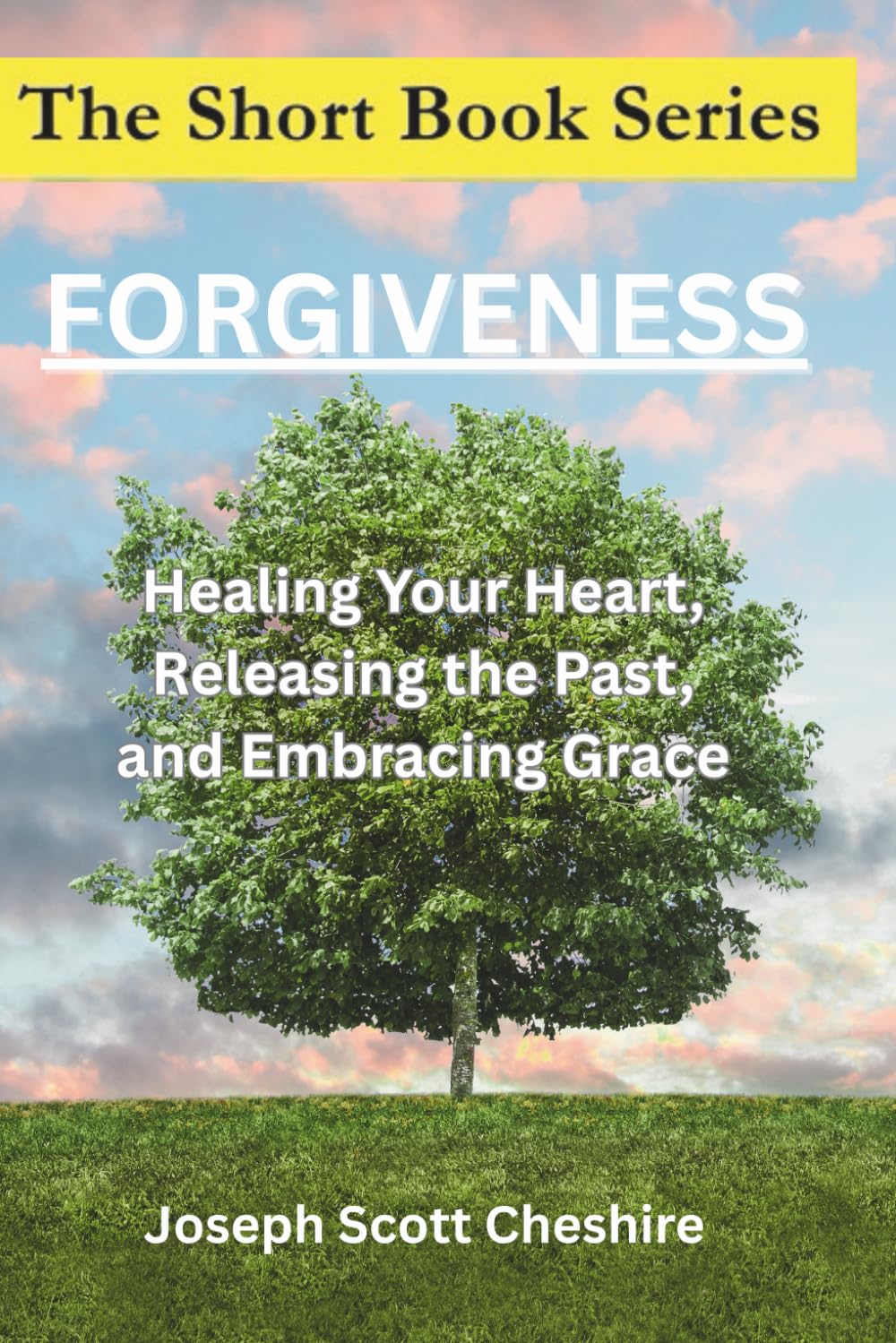 The Short Book Series: Forgiveness: Healing Your Heart, Releasing the Past and Embracing Grace
