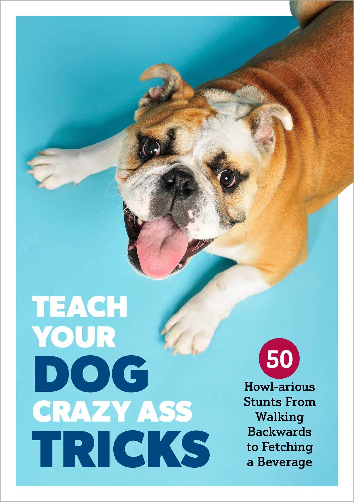 Teach Your Dog Crazy Tricks: 50 Howl-arious Stunts From Walking Backwards to Fetching a Beverage