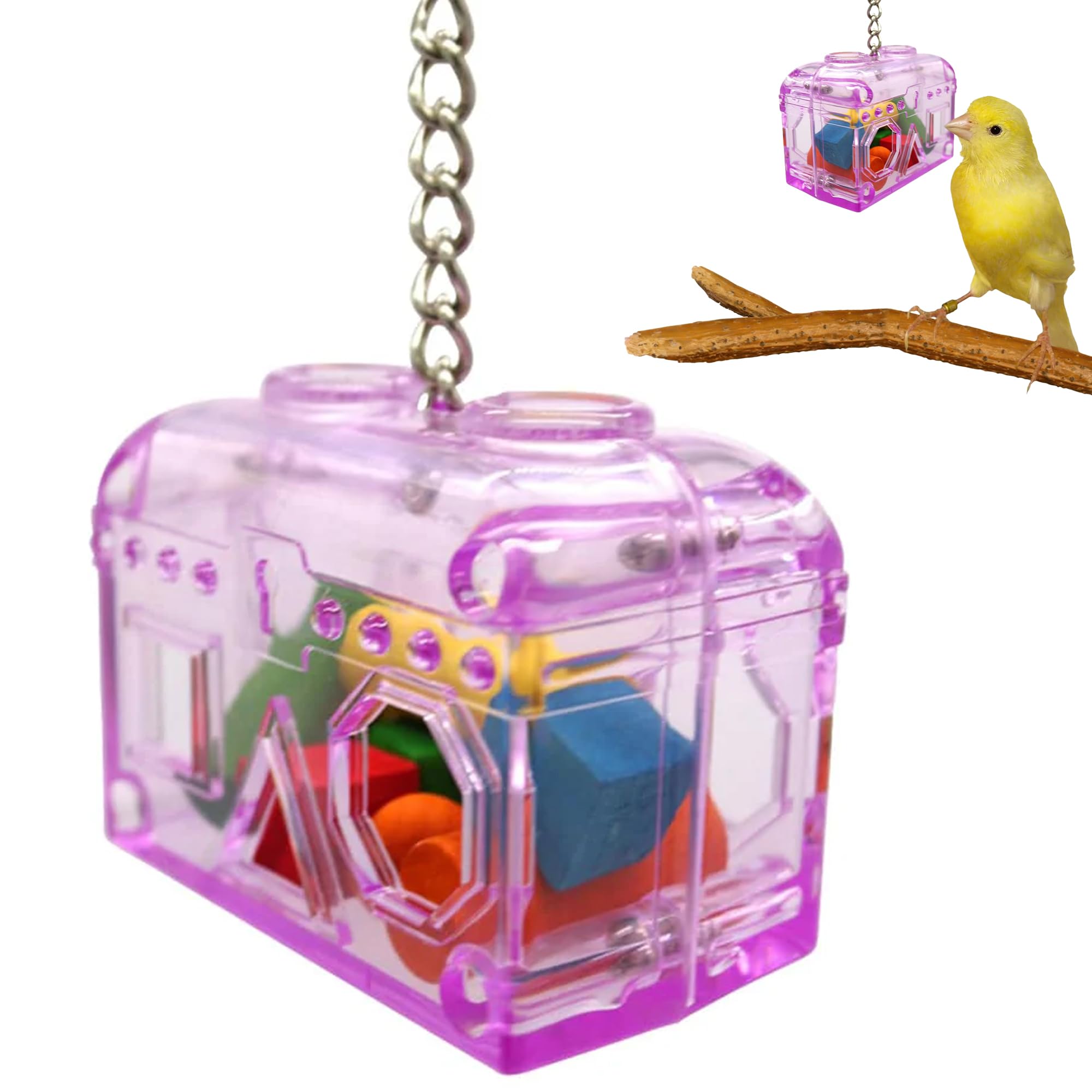 Sweet Feet and Beak Large Treasure Chest