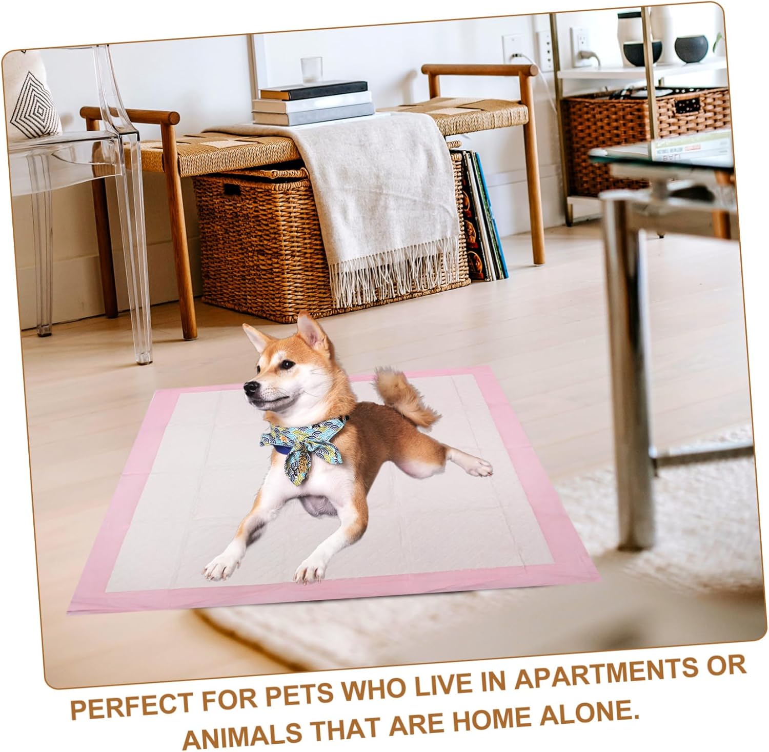 Large PET Training Pads Thickened 60x60cm Dog Diaper Pad 40 Count Super Absorbent for Indoor and Outdoor Use PET Supplies