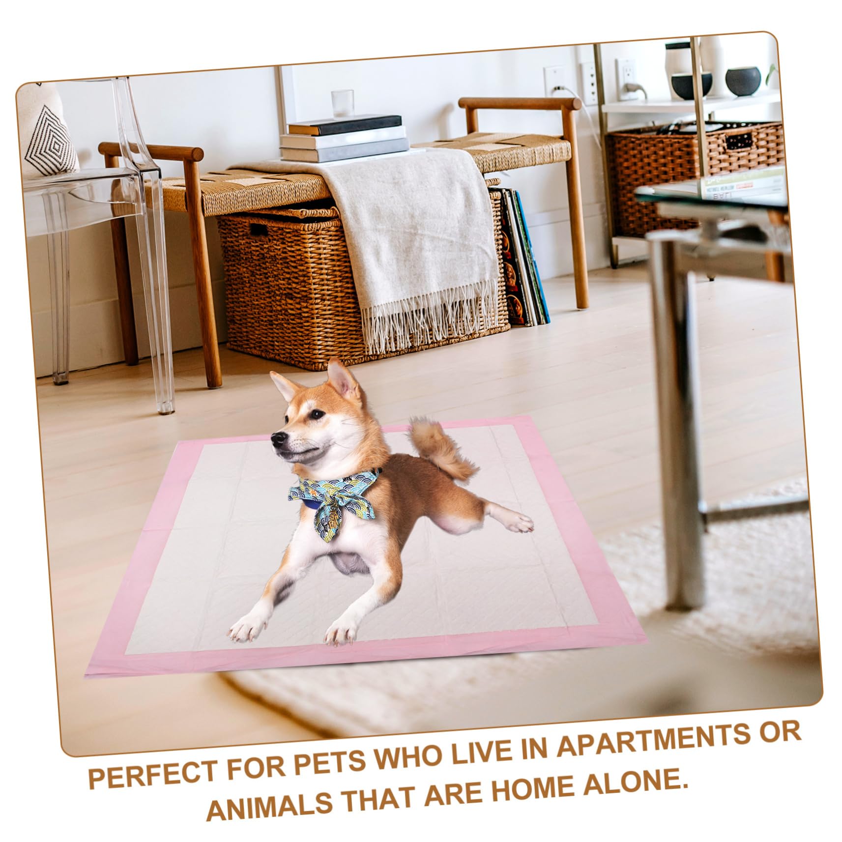 COLLBATH 1paquet Alèses pour Chiens Alèses Épaisses Et Absorbantes pour Éducation Animaux pour Appartements