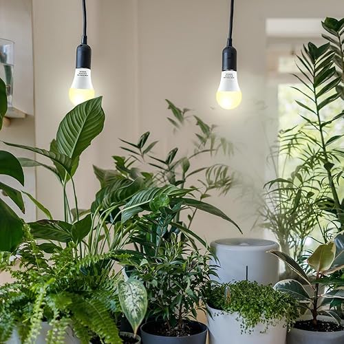 Miniatura 3 de mfxmf Paquete de 4 bombillas LED de cultivo A19, bombillas de espectro completo para plantas, bombilla de cultivo E26 de 9 W que reemplaza hasta 100