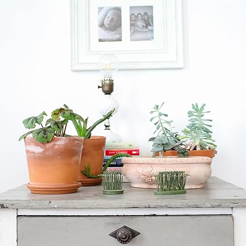 Miniatura 7 de Floral Genius - Juego de soporte redondo de metal con cinta azul original de 3 a 2 pulgadas, diseño de rana de flores para flores frescas, secas y