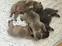 Review Image by Jessica Jessica