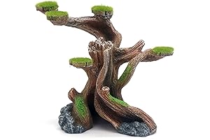 Reptile Habitat Decor Accessory – Unveil a Natural Oasis for Your Cold-Blooded Companion