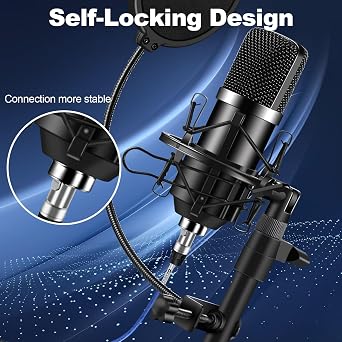 HiFi XLR Cable 3.3FT 2-Packs, Standard XLR Male to Female Microphone Cable, 3-Pin Balanced Shielded XLR Speaker Cable for Mic, Mixer, Recording Studio, Podcast