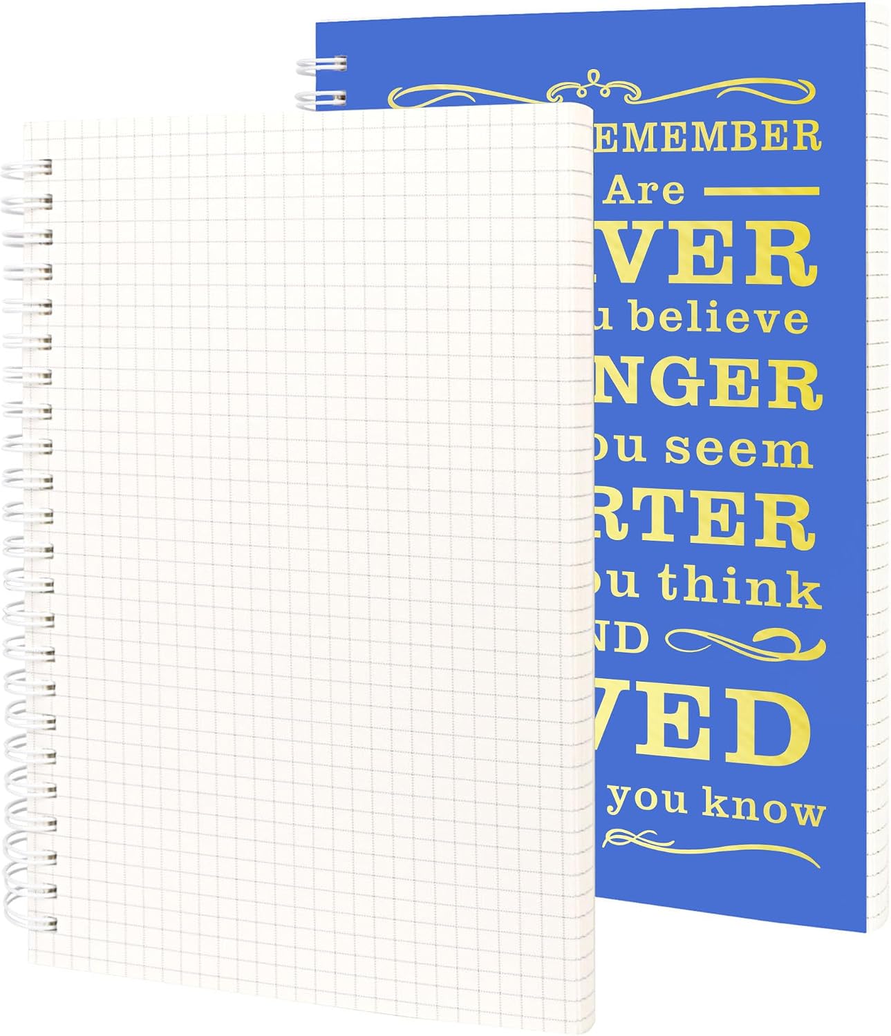 JOHSBYD 2Pcs Graph Spiral Journal Notebook,Inspirational Gift for Women Men