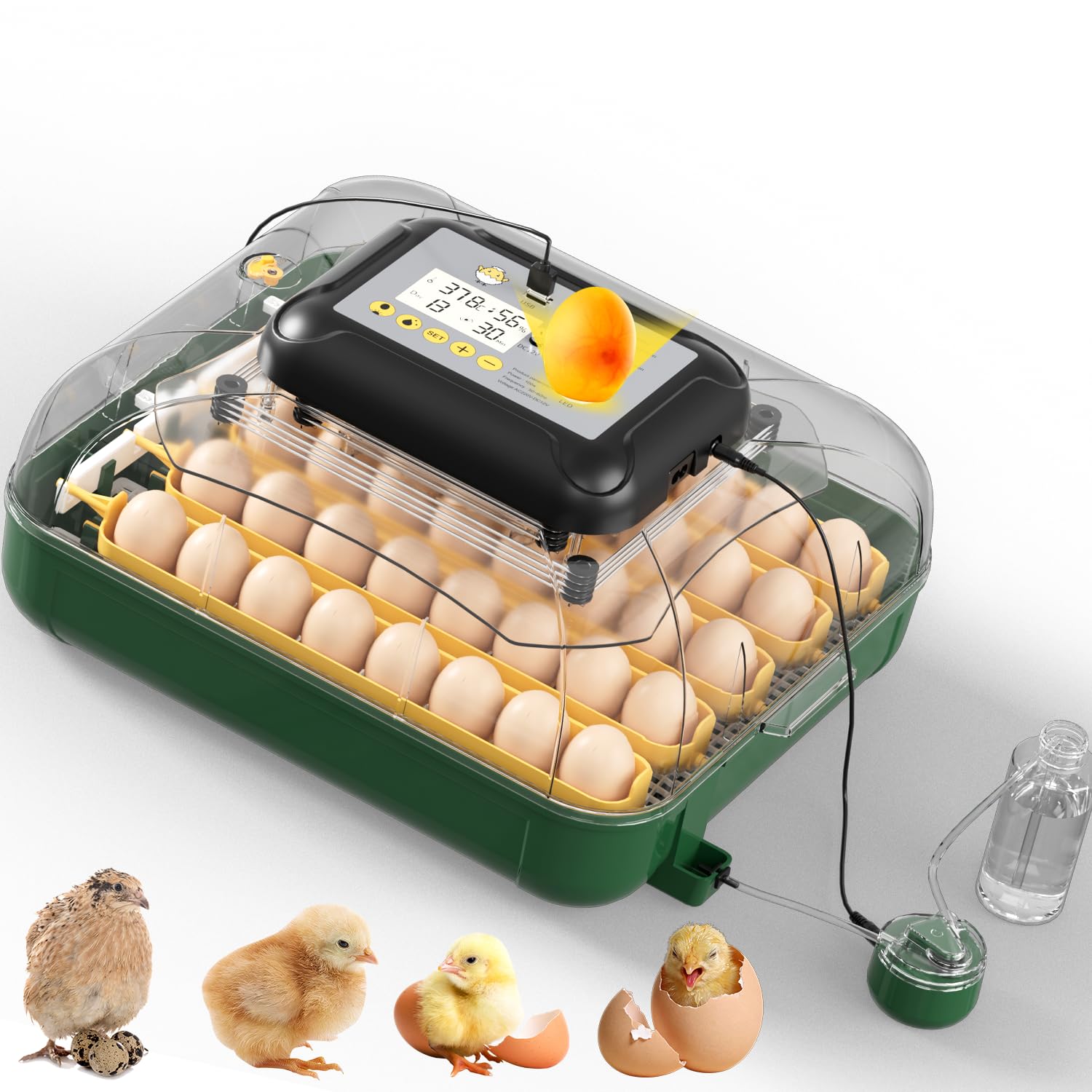 Amazon.com: 30 Egg Incubator for Hatching Eggs with Auto Egg