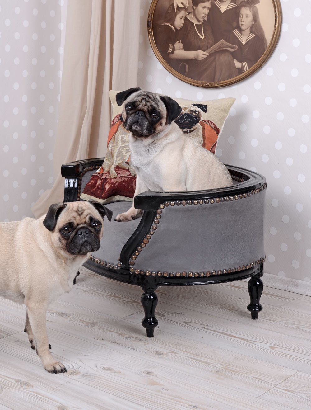 Cama para Perro mopsbett barockbett French Bully Cama Sofá para Perro hundebettchen Palazzo Exclusivo