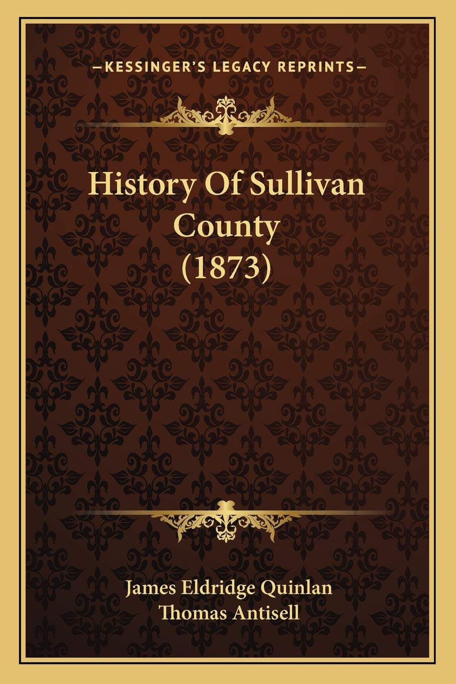 History Of Sullivan County (1873)
