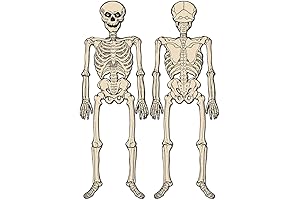 Fiendishly Festive Beistle Vintage Jointed Skeleton Decoration