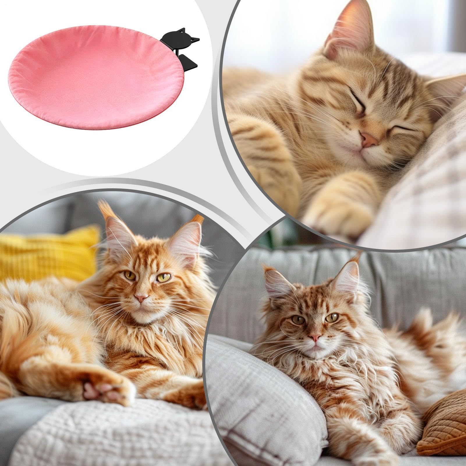 Feline Table Rest Lounger – Asta grigia con morsetto per finestra, posto per gattino, comodo cuscino rialzato, in metallo sicuro | per gatti sospeso traspirante, tessuto rimovibile