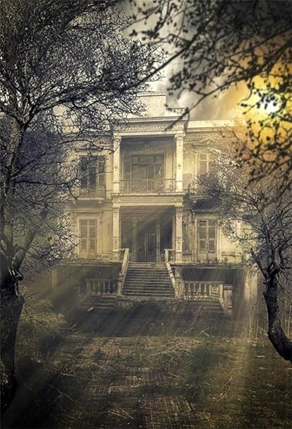 AOFOTO 3x5フィート 砂漠の神秘的な城 太陽の光背景 レトロ 古代 ラティ ゴースト お化け お化け屋敷 休日 フェスティバル ハロウィン 写真背景 フォトスタジオ 小道具 ハロウマス パーティー ナイトポスター