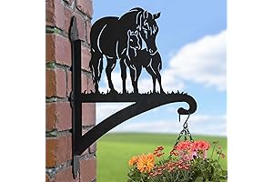 BAYN Hanging Plant Bracket - Wall Mounted Plant Hangers for Flower Pot...