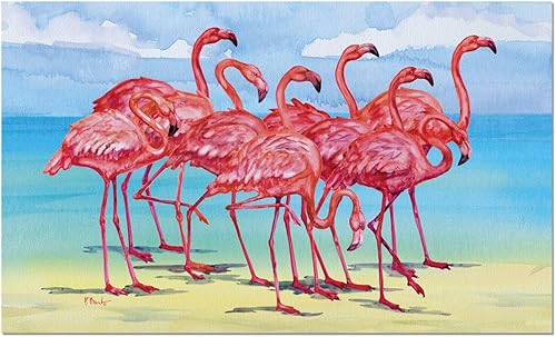 Counterart Flamingo Horizons IndoorOutdoor Entryway Floor Mat Manufactured in The USA Low Profile, Protective Non-Skid Rubber Backing, Easy to Clean
