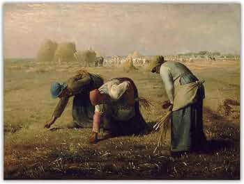 71Rq-k9JI2S._AC_UF350,