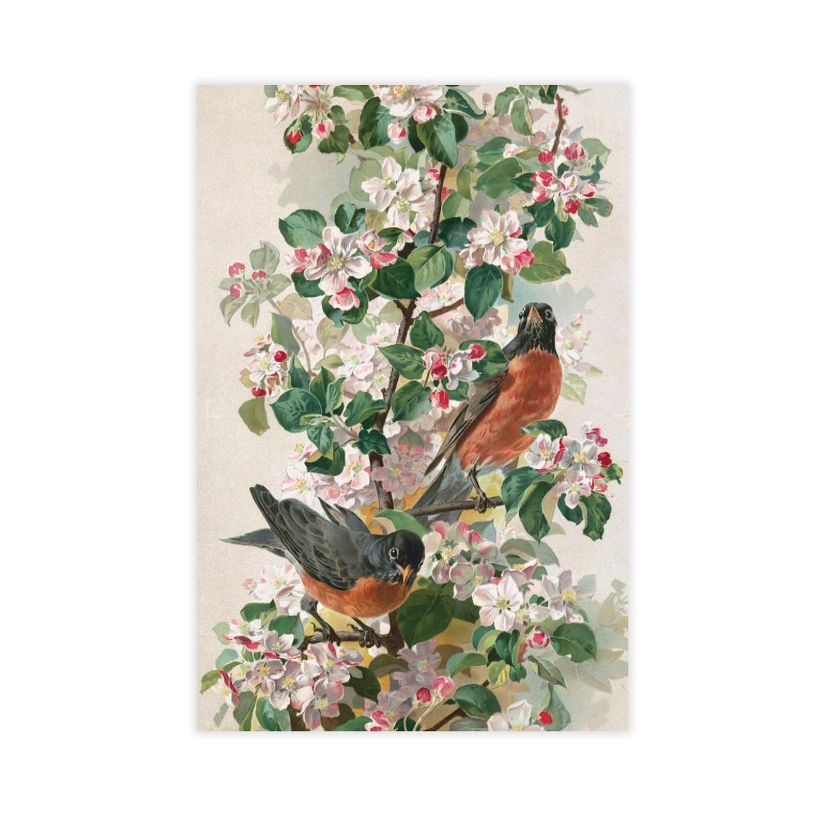 JFECTH Robins Canvas Poster for Dorm Room Decor Gift