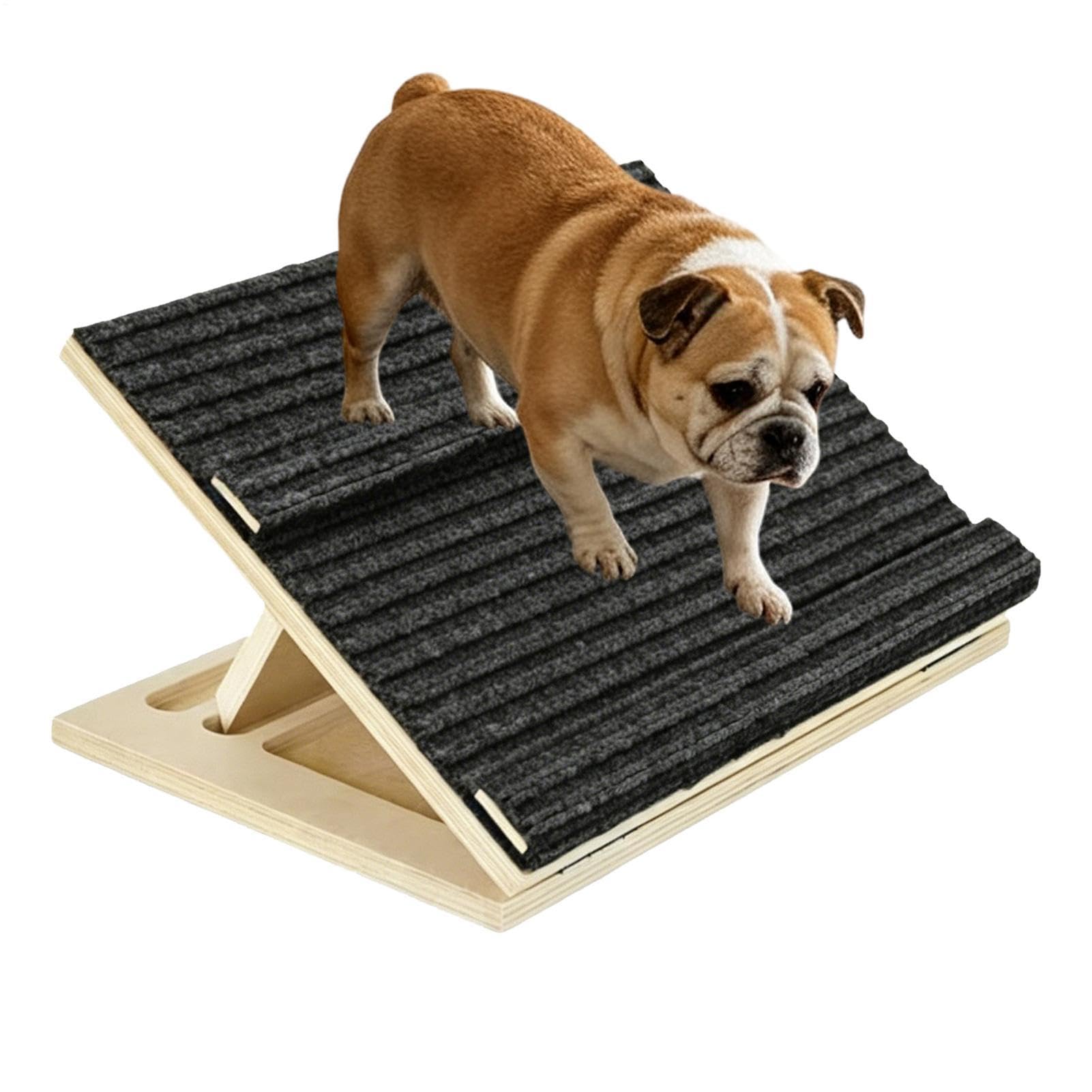 Rampa Plegable para Perros Escaleras Plegables Antideslizantes Ligeras De
