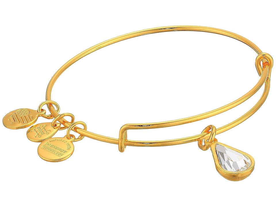 

Alex and Ani Swarovski Teardrop Color Code Bangle (Crystal) Bracelet, Gray