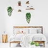 Product Photo 6
