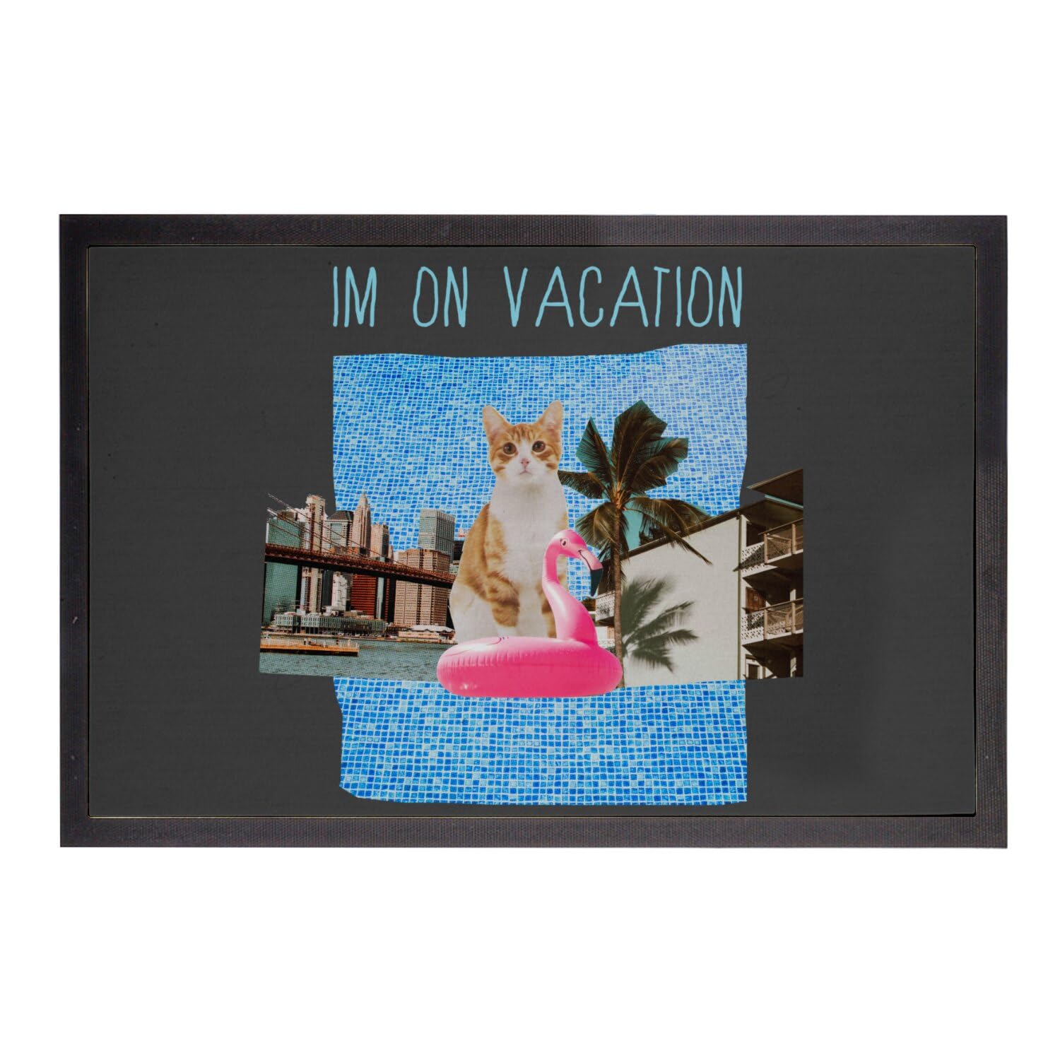 Paillasson Noir 75x50 tapis entrée chat illustration vintage humour