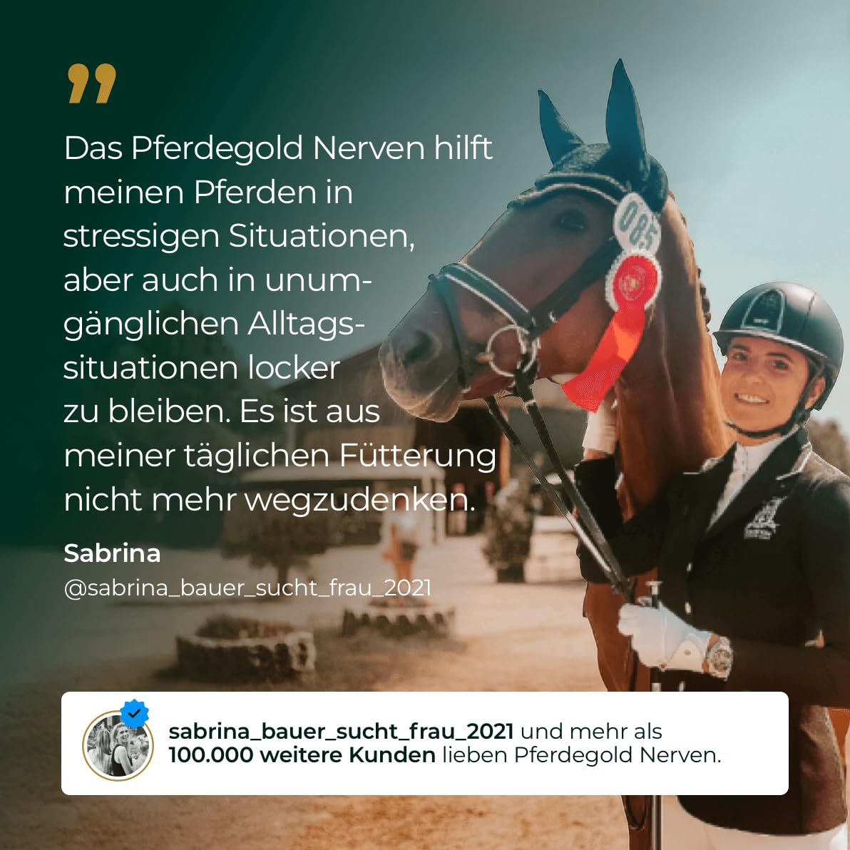Nerven 2.0 - Pferde Pellets mit Magnesium-Komplex & Omega 3 - Unterstützung bei Angst & Stress - 100% Natürlich & Dopingfrei - Made in Germany (1500g)