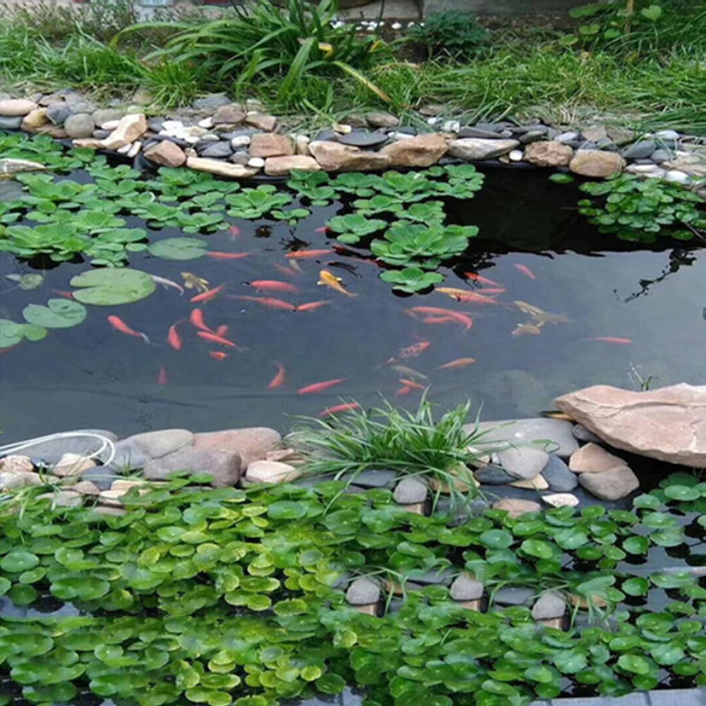 3x3m Heavy-Duty HDPE Pond Liner, 0.22mm Thick, Durable Black for Fish Ponds, Waterfalls & Water Gardens, Waterproof & UV Resistant