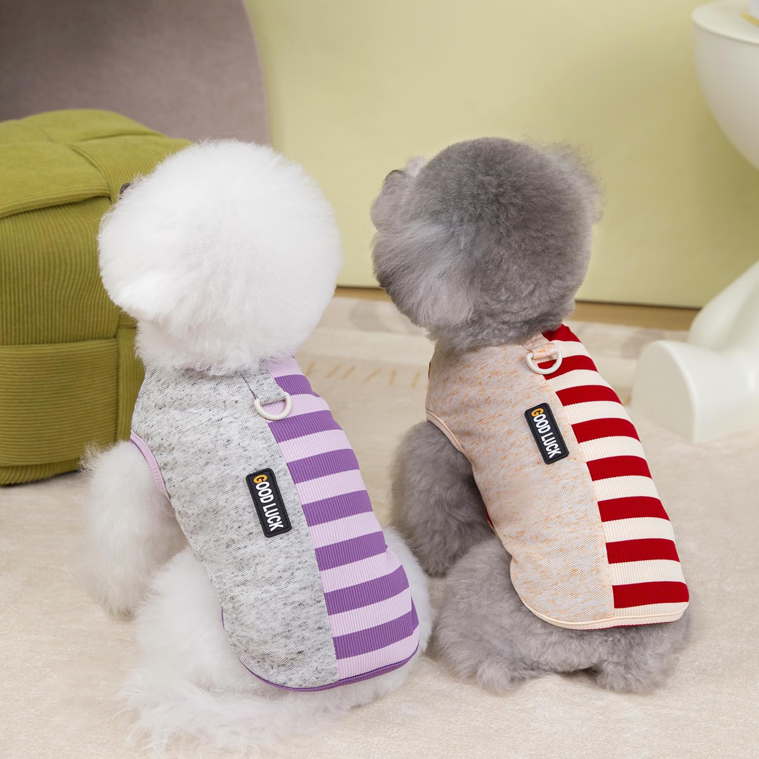 Izefia 3 Pièces Chien Chemises Vêtements Respirant Arc-en-Ciel Rayure Gaufre Cool Été Coton Débardeur Gilet T Shirt pour Petit Chien Chiot Chat