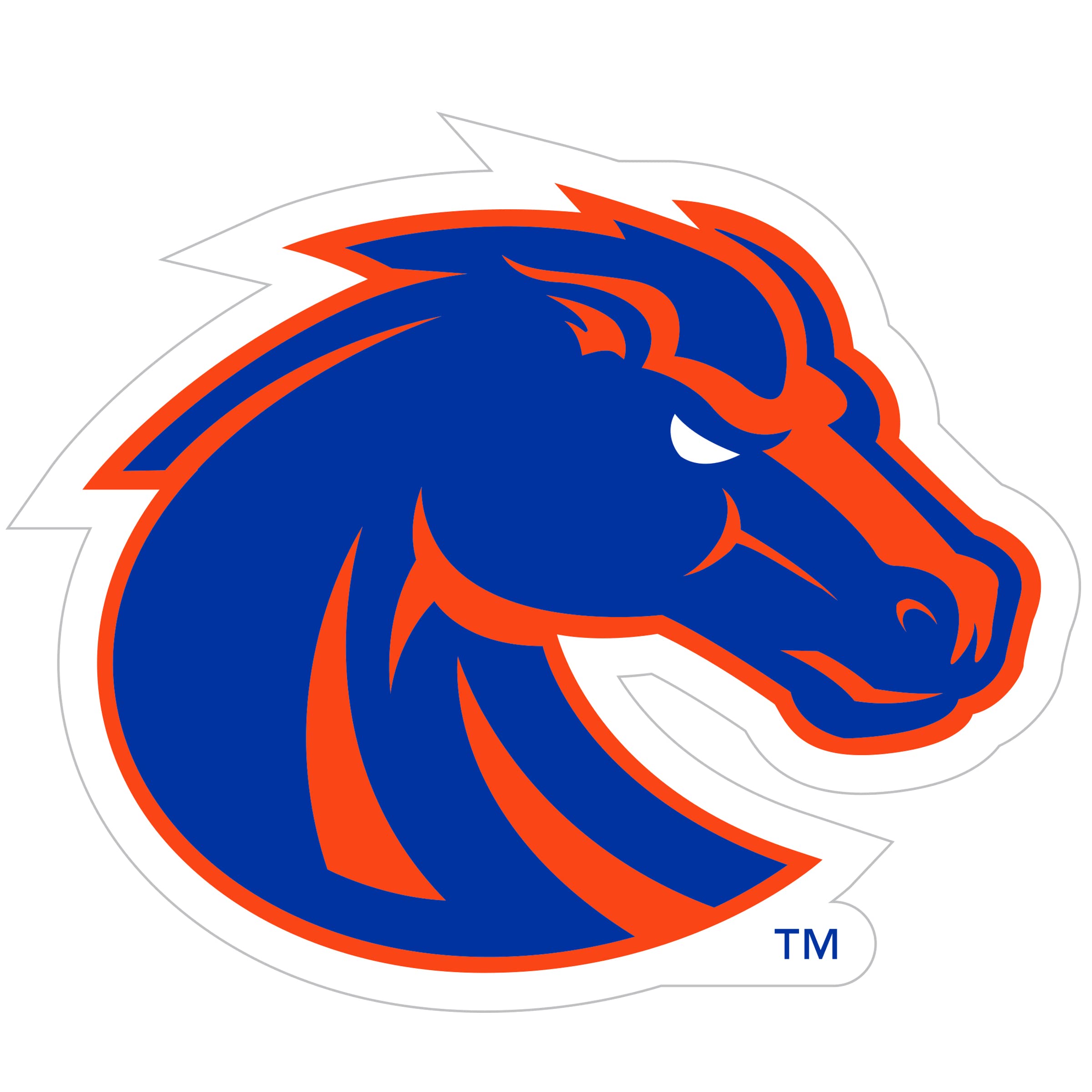 SiskiyouSports NCAA Boise State Broncos 8 inch Auto Decal, One Size, Team Colors