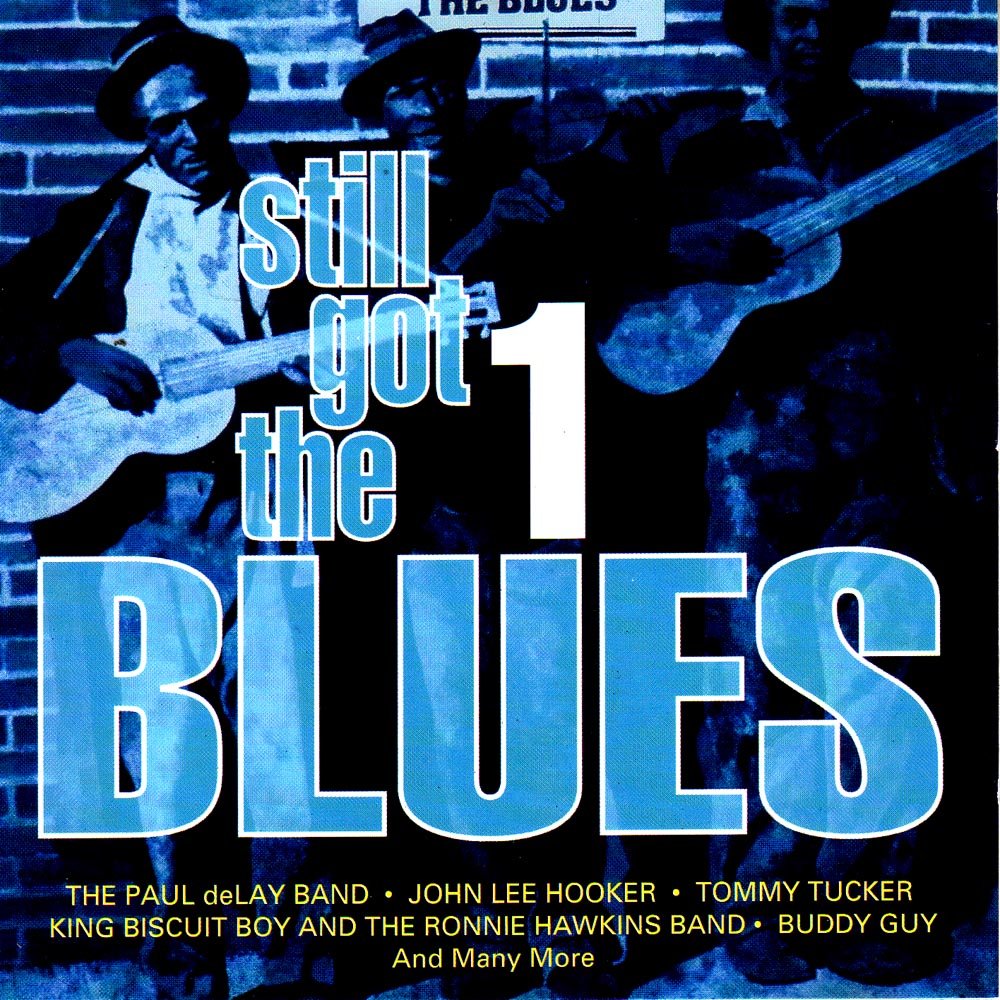 Paul deLay Band, Byther Smith, Clarence Edwards, King Biscuit Boy, Sonny Blake.. [Audio CD]