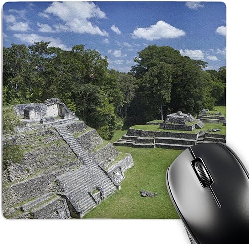 Miniatura 1 de 3dRose Caracol Ancient Mayan Sitio, BeliceSA02wsu0019Alfombrilla de mouse, 8por 8inches (MP _ _ _ _ _ _ _ _ _ _ 140879_ _ _ _ _ _ _ _ _ _ 1)
