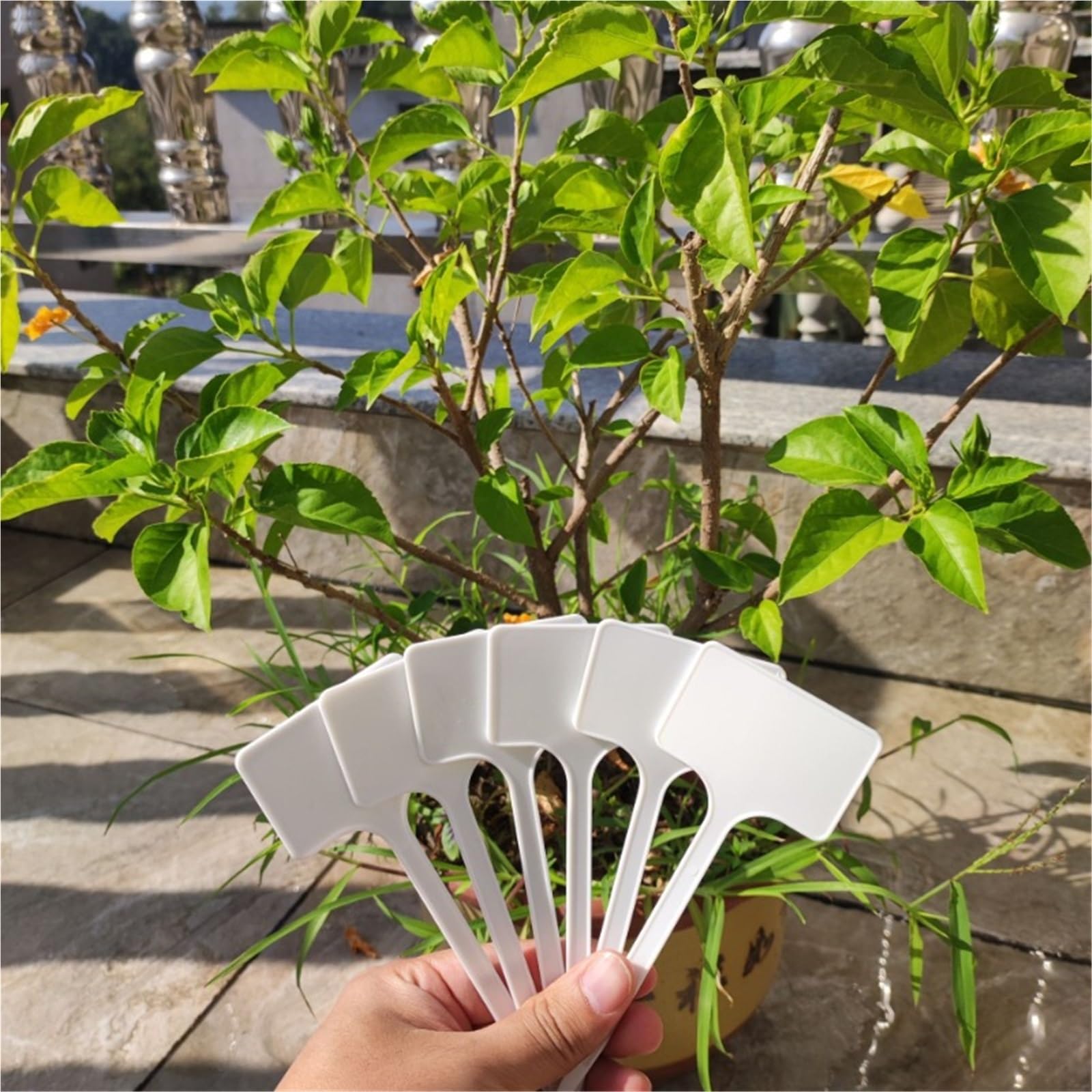 Etichette Per Piante 100/300 pezzi di etichette for piante, cartelli di classificazione impermeabili bianchi for esterni, piante in vaso, orti, cortili, attrezzi da giardinaggio(300pcs)