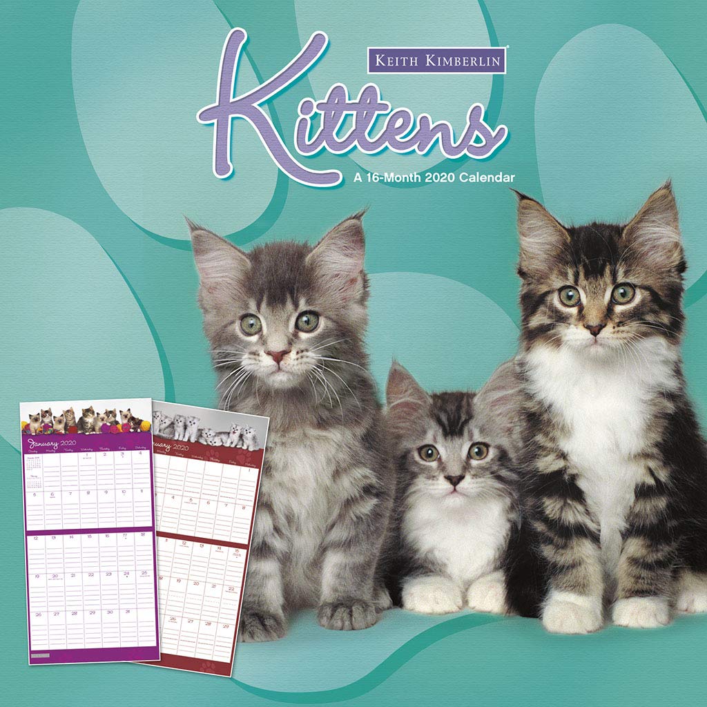 Keith Kimberlin Kittens 2020 Calendar