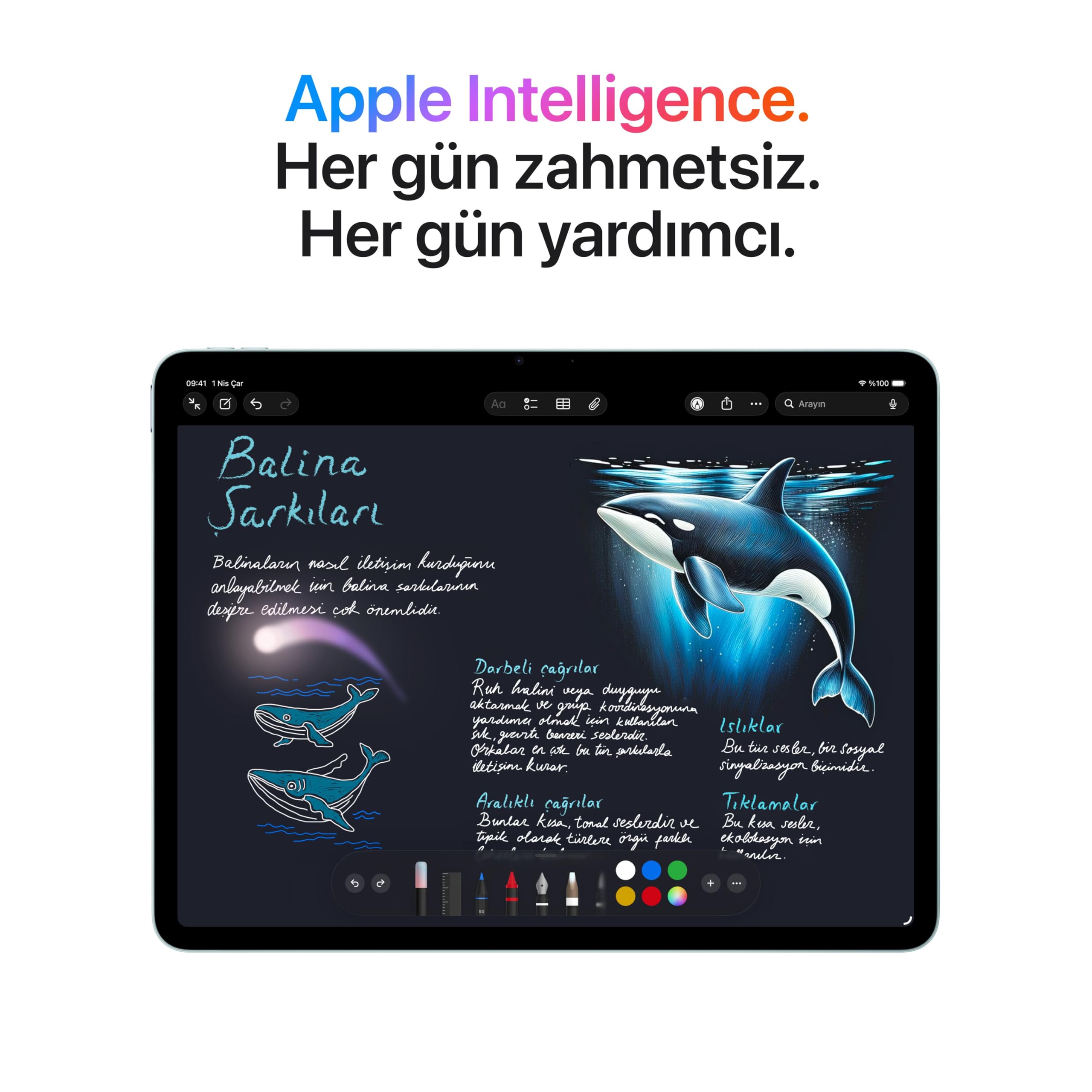Apple iPad Air 13 inç (M4): Liquid Retina Ekran, 128 GB, 12 MP Ön/Arka Kamera, Apple N1 ile Wi-Fi 7 — Uzay Grisi