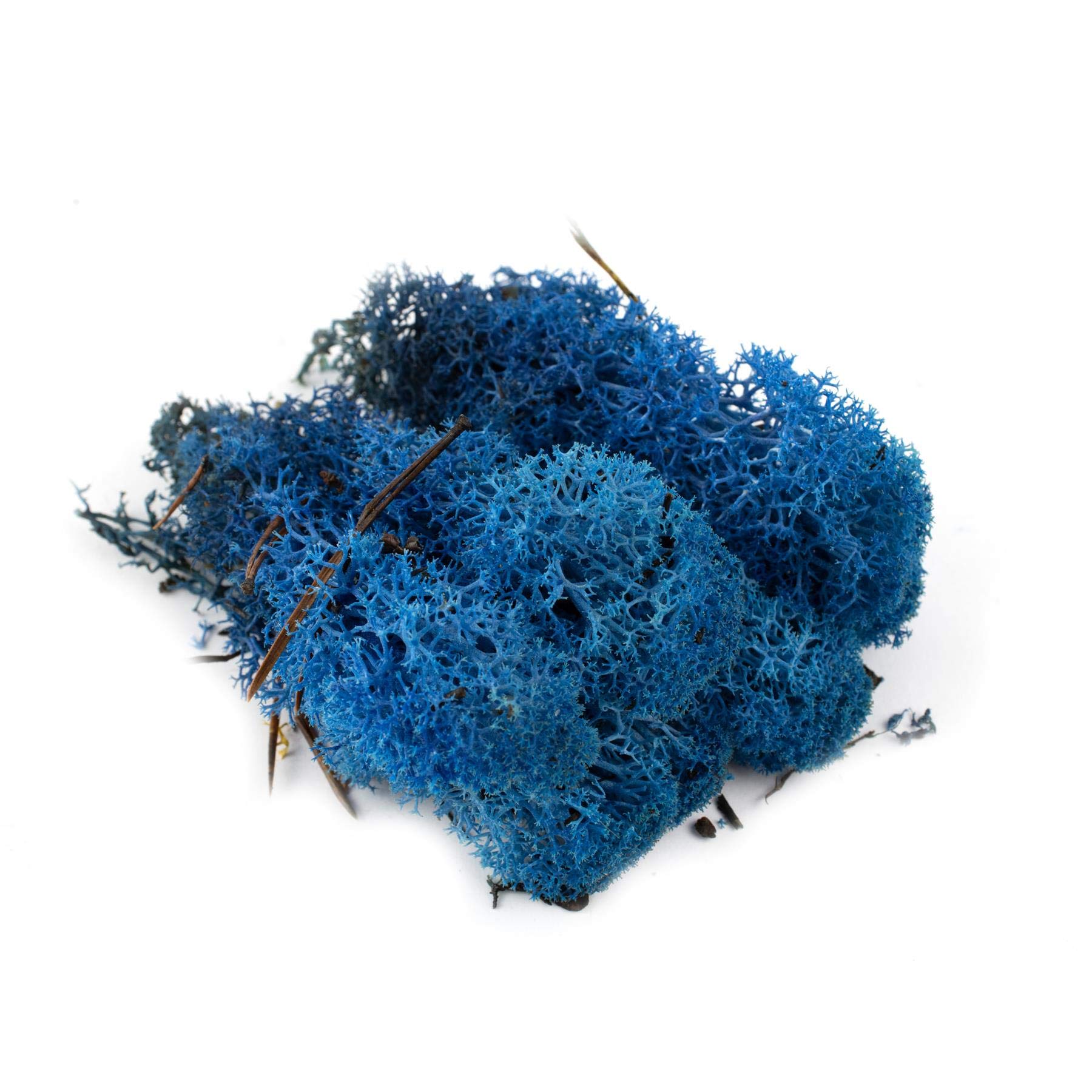 War World Scenics Lichen Blue Moss Model Foliage 60g – Model Railway Wargame Scenery Landscape Modelling Trees Bushes Hedges Diorama Basing Material