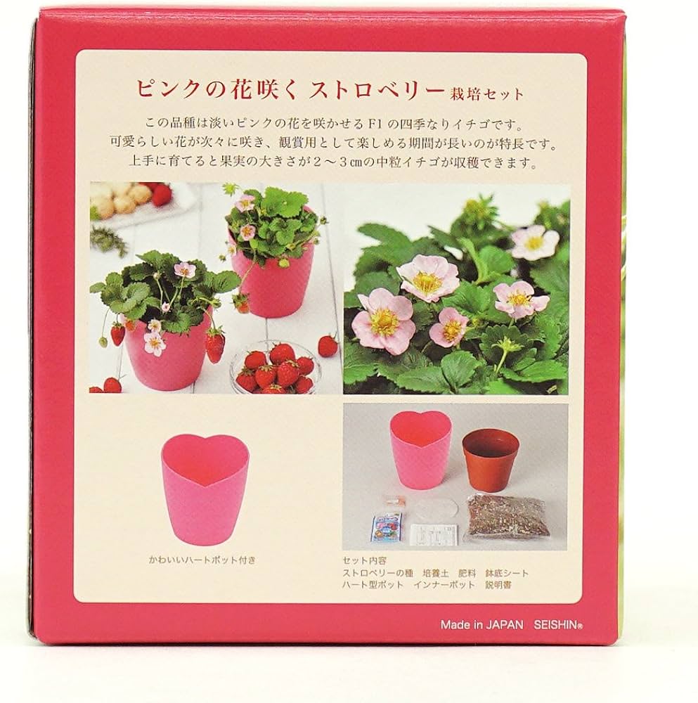 Amazon.co.jp: 聖新陶芸 ピンクの花咲く ストロベリー栽培キット: DIY Amazon.co.jp: 聖新陶芸 ピンクの花咲く ストロベリー栽培キット: DIY